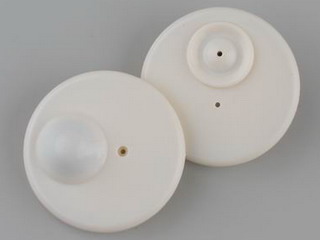 T001/R50