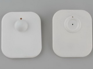 T006/Large Square