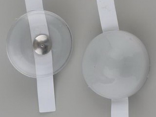 T019/Griffe